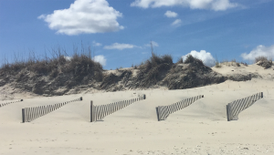 Sand Fence on beach.